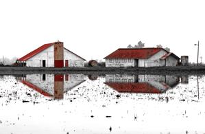 red roof 1.tif