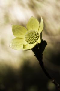 IMG_7787 copy.png