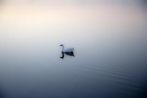 IMG_8981.png