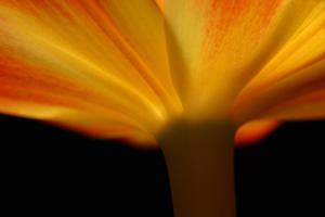 IMG_5149.png