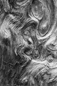 Pareidolia- To perceive a specific image in a random or ambiguous visual pattern